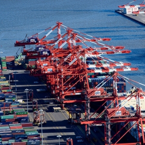 Newark Terminal Cargo Cranes